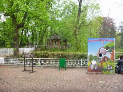 Київський зоопарк мій відгук про відвідування зоопарку (зоопарку) Київський зоопарк мій відгук про відвідування зоопарку