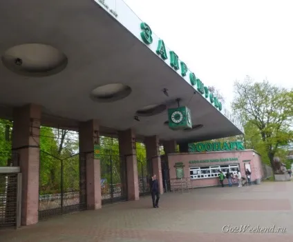 Київський зоопарк мій відгук про відвідування зоопарку (парки) Київський зоопарк мій відгук про відвідування зоопарку