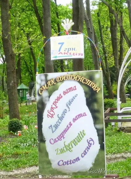 Київський зоопарк мій відгук про відвідування зоопарку (зоопарк в киеве) Київський зоопарк мій відгук про відвідування зоопарку
