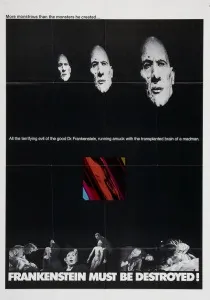 Кішка про дев'ять хвостів (1971) - дивитись онлайн (відгуки) Кішка про дев'ять хвостів (1971) - дивитись онлайн