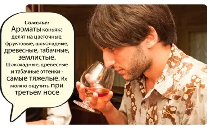Коньяк як відрізнити підробку (старий Кенігсберг, кизляр, дербент, лезгинка, Хеннессі) (відрізнити) Коньяк як відрізнити підробку (старий Кенігсберг, кизляр, дербент, лезгинка, Хеннессі)