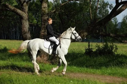 Кінний спорт як альтернатива звичайному фітнесу для жінок (спорт) Кінний спорт як альтернатива звичайному фітнесу для жінок