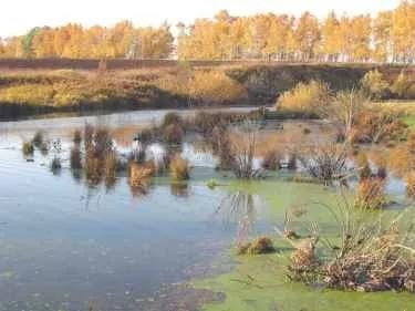 Краснодарський край - основний курортний регіонУкаіни (основний) Краснодарський край - основний курортний регіонУкаіни