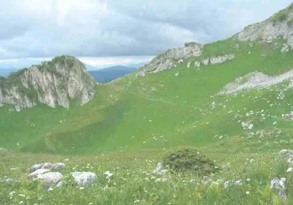 Краснодарський край - основний курортний регіонУкаіни (росії) Краснодарський край - основний курортний регіонУкаіни