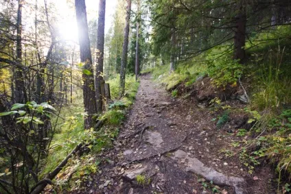 Крута поїздка в оленячі струмки, відгуки з фото і відео (струмки) Крута поїздка в оленячі струмки, відгуки з фото і відео