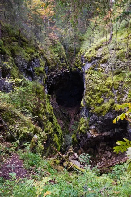 Крута поїздка в оленячі струмки, відгуки з фото і відео (відгуки) Крута поїздка в оленячі струмки, відгуки з фото і відео