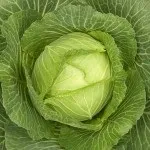 Лікування капустою, секрети народної медицини (лікування) Лікування капустою, секрети народної медицини