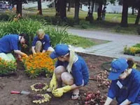 Ландшафтний дизайн вузької ділянки - завдання складне, але цікава (дизайн) Ландшафтний дизайн вузької ділянки - завдання складне, але цікава