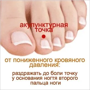 Лікування гіпотонії народними засобами і медикаментозно, огляд препаратів, масаж при гіпотонії (гіпотонія лікування лікарські трави мед курага лимон кофеїн цитрамон орто-таурин регултон сапарал ноотропи рефлекторний масаж стоп) Лікування гіпотонії народними засобами і медикаментозно, огляд препаратів, масаж при гіпотонії