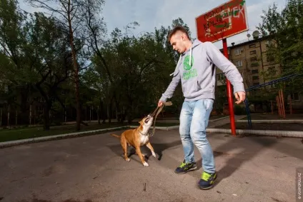 Ласкаві собаки-вбивці