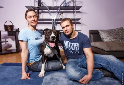 Ласкаві собаки-вбивці