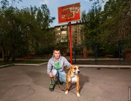 Ласкаві собаки-вбивці