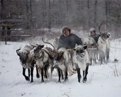 Легенда про змія - полозі (змії) Легенда про змія - полозі