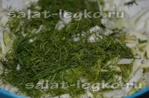 Легкий салат з куркою, капустою білокачанної і сиром, рецепт з фото (куряча грудка) Легкий салат з куркою, капустою білокачанної і сиром, рецепт з фото