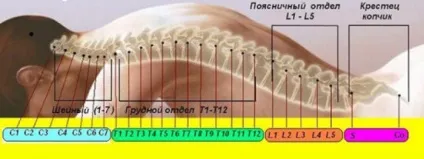 Денний стаціонар масажем зцілюють точки, домашній комплекс (точки) Денний стаціонар масажем зцілюють точки, домашній комплекс