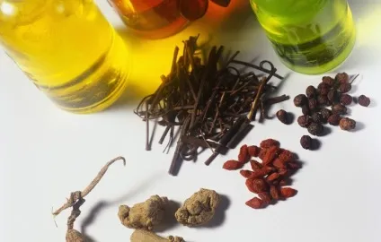 Лікування сифілісу в домашніх умовах - ліки, рецепти (домашніх) Лікування сифілісу в домашніх умовах - ліки, рецепти
