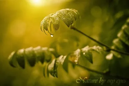 Lightroom і його можливості