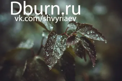 Lightroom і його можливості