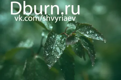 Lightroom і його можливості