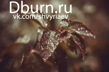 Lightroom і його можливості