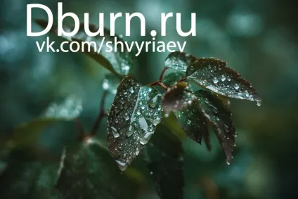 Lightroom і його можливості