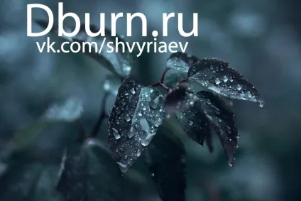 Lightroom і його можливості