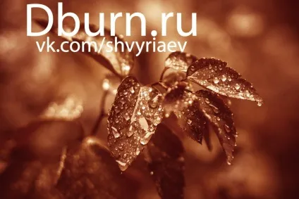 Lightroom і його можливості