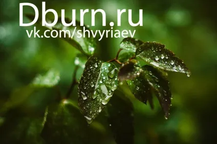Lightroom і його можливості