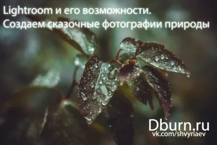 Lightroom і його можливості