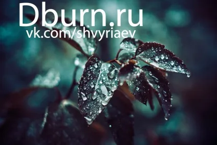 Lightroom і його можливості