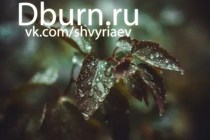 Lightroom і його можливості
