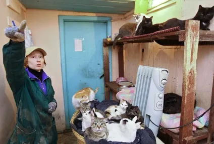 Особистий досвід як і навіщо стати волонтером в притулку для тварин звірі з життя (тварин) Особистий досвід як і навіщо стати волонтером в притулку для тварин звірі з життя