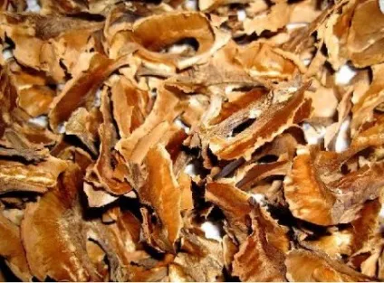 Лікування серцевої задишки народними засобами (засобами) Лікування серцевої задишки народними засобами
