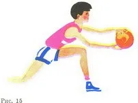 Ловля м'яча, техніка гри, баскетбол для дітей (техніка) Ловля м'яча, техніка гри, баскетбол для дітей