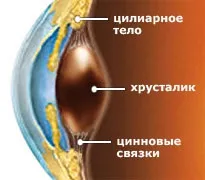 Хибна короткозорість