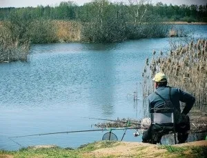 Ловля в'юна влітку і взимку, особливо життя риби і поради по виготовленню і застосуванню (особливості) Ловля в'юна влітку і взимку, особливо життя риби і поради по виготовленню і застосуванню