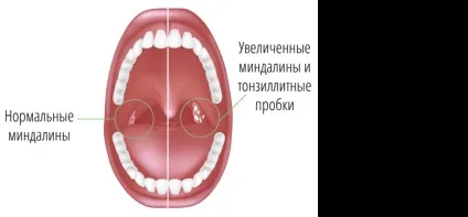 Лор клініка Рівне