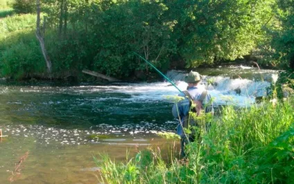 Ловля головня на спінінг вибір спінінга, приманки і техніка лову (головня) Ловля головня на спінінг вибір спінінга, приманки і техніка лову