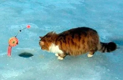 Ловля корюшки взимку