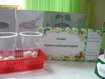 Майстер-клас оформлення городу на вікні в дитячому садку «дачка в ромашково»