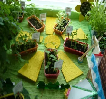 Майстер-клас оформлення городу на вікні в дитячому садку «дачка в ромашково»