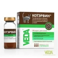 Кот Ервін