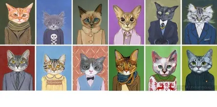 Коти в одязі, фотоштаб - інтернет-журнал з фотографіями (одязі) Коти в одязі, фотоштаб - інтернет-журнал з фотографіями