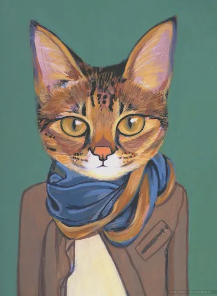 Коти в одязі, фотоштаб - інтернет-журнал з фотографіями (коти) Коти в одязі, фотоштаб - інтернет-журнал з фотографіями
