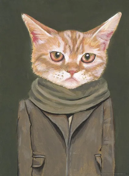 Коти в одязі, фотоштаб - інтернет-журнал з фотографіями (коти) Коти в одязі, фотоштаб - інтернет-журнал з фотографіями