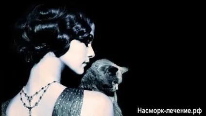 Чи може людина заразитися нежиттю від домашньої тварини