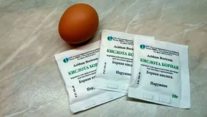 Морити тарганів своїми руками з чого почати і що вибрати, служба дезінсекції Київ (чого) Морити тарганів своїми руками з чого почати і що вибрати, служба дезінсекції Київ