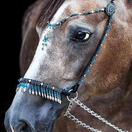 Моськера, налобник, недоуздок прикраси для коней від голови до хвоста - ярмарок майстрів - ручна (налобник) Моськера, налобник, недоуздок прикраси для коней від голови до хвоста - ярмарок майстрів - ручна