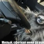 Мужики, вони як кури - двадцять метрів від будинку і вже нічиї (нічиї) Мужики, вони як кури - двадцять метрів від будинку і вже нічиї