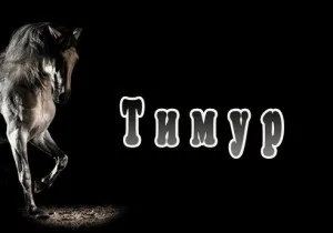 Мужній ім'я тимур що ховається за його значенням імені і яка доля (тимур) Мужній ім'я тимур що ховається за його значенням імені і яка доля